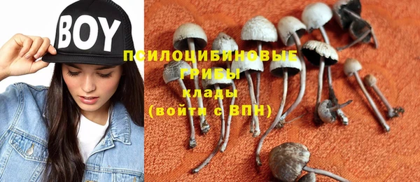 ешки Бугульма