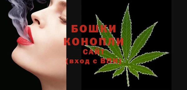 ГАЛЛЮЦИНОГЕННЫЕ ГРИБЫ Переславль-Залесский